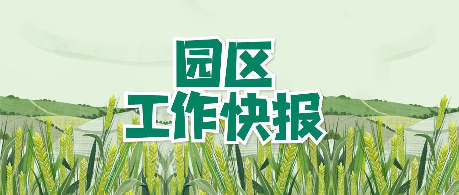 園區(qū)工作快報「2期」光伏清...