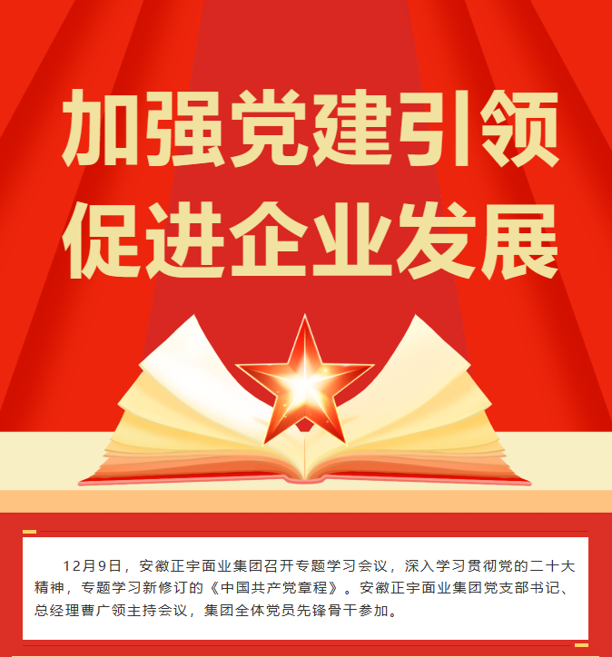 「加強(qiáng)黨建引領(lǐng) 促進(jìn)企業(yè)發(fā)...